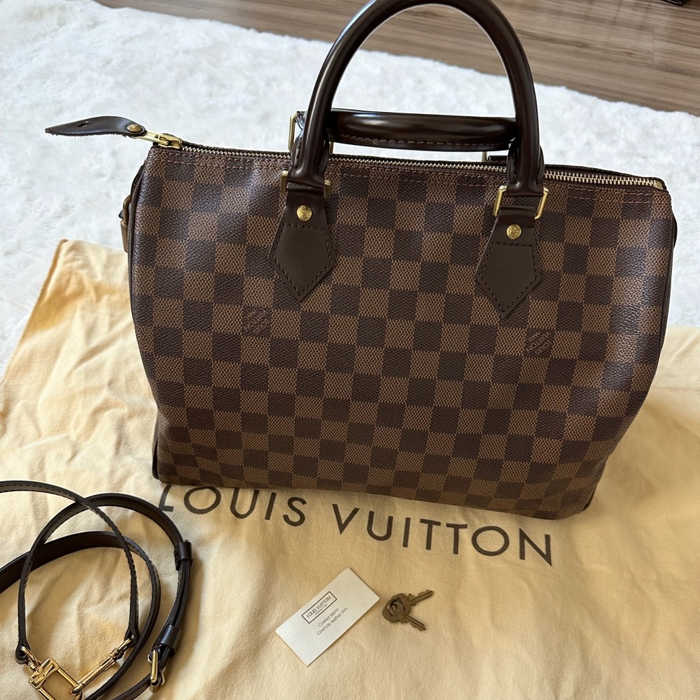 Louis Vuitton Speedy 30 in Damier Ebene